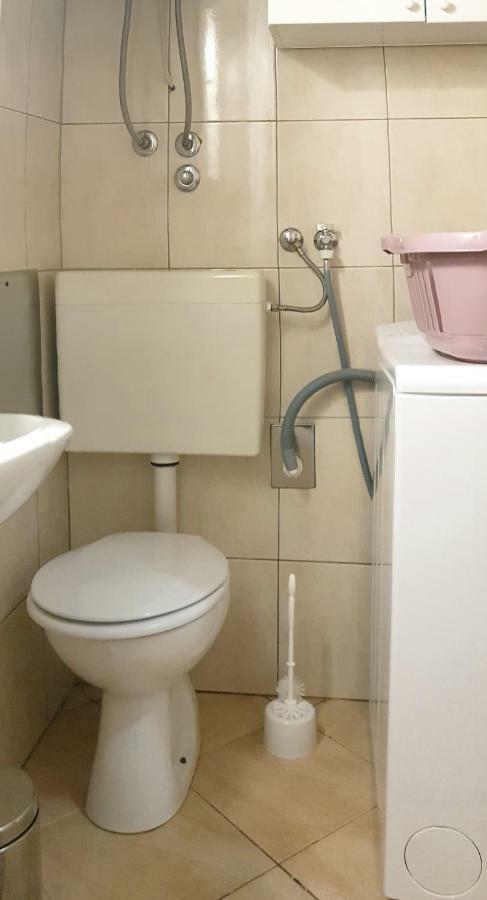 Ledinic Apartment